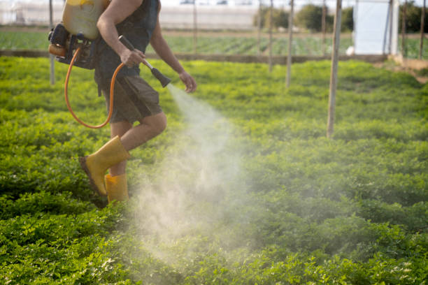 Best Affordable Pest Control Services  in Carroll Valley, PA