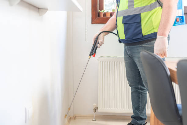 Wasp Removal Services in Carroll Valley, PA