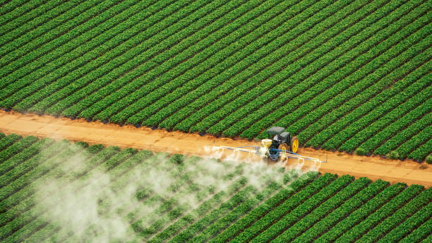 Best Pest Removal Services  in Carroll Valley, PA