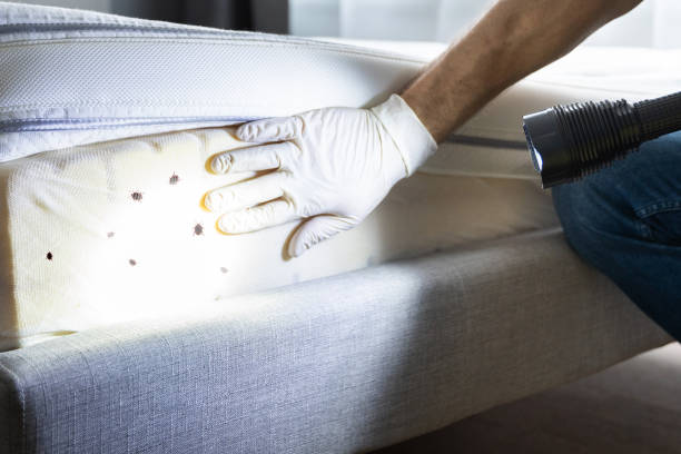 Best Local Pest Control Services  in Carroll Valley, PA