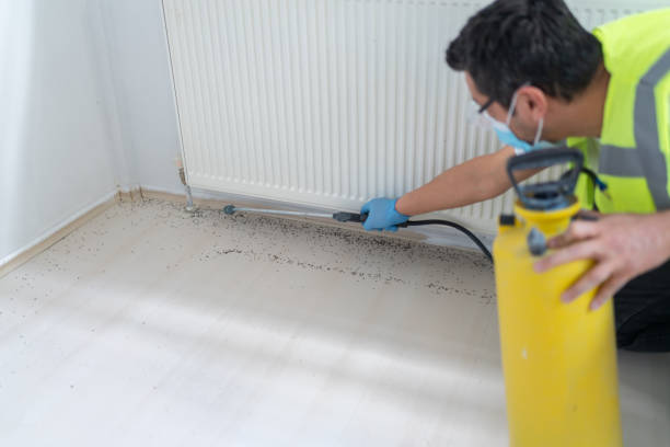 Best Best Pest Control Companies  in Carroll Valley, PA
